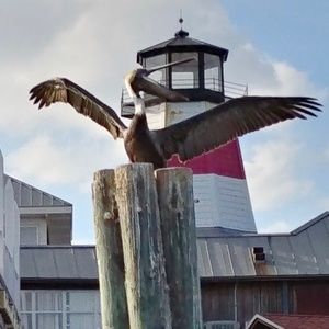 Meet your Posher, Cher